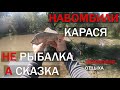 Рыбалка на реке Турунчук, рыбалка на карася, карась на поплавок, рыбалка летом, рыбалка на дону