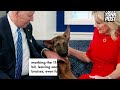 Biden’s dog Commander bites Secret Service agent again — marking 11th attack by first dog Mp3 Song