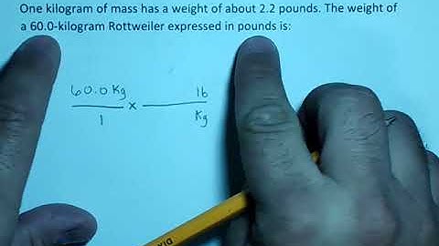Dimensional Analysis Kg lb