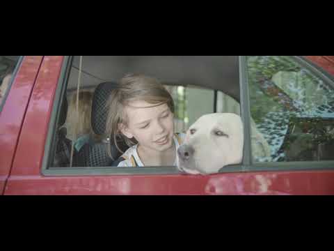 შენც გახდი ჩვენი ბინადარი