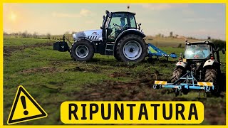 Lamborghini 140 e ripuntatore.🚜 Prepariamo la terra per il vigneto🍇