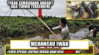 Mehancau Iwak:Panen Ikan Musiman Warga Barabai Desa Kambat Hulu Sungai Tengah Kalimantan Selatan