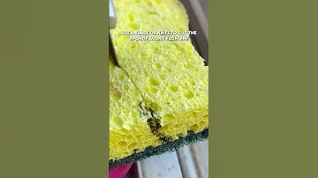 This cleaning hack is a GAME CHANGER