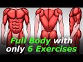 Full Body Workout in Just 6 Exercises!