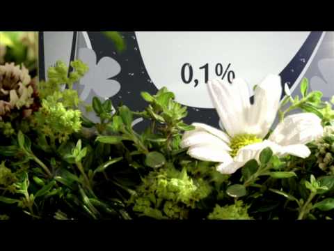 Arla | Lærkevang
