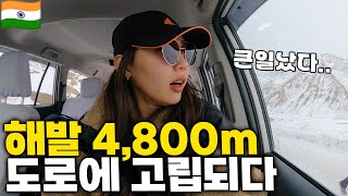 🇮🇳 #5 겨울에 라다크지역 판공초 투어를 가지 않는 이유 [ 인도5 레 ]