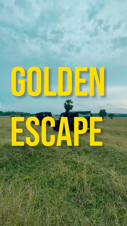 Golden Escape 🌅 | Thar x Hilux #automobile #thar#hilux#sunset#travel
