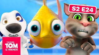 Talking Tom & Friends - Fishy Business | Season 2 Episode 24 screenshot 4