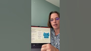 FSE 100 Individual Project Deliverable 3