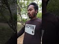 Kaju Khet Ke Paas Ho Rahi Hai Dhan Ropai #minivlog #vlogs #shorts #dailyvlog #youtubeshorts