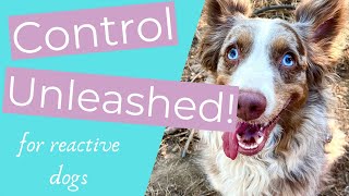 How to help when your dog goes crazy around other dogs! (Using Control Unleashed for reactive dogs)