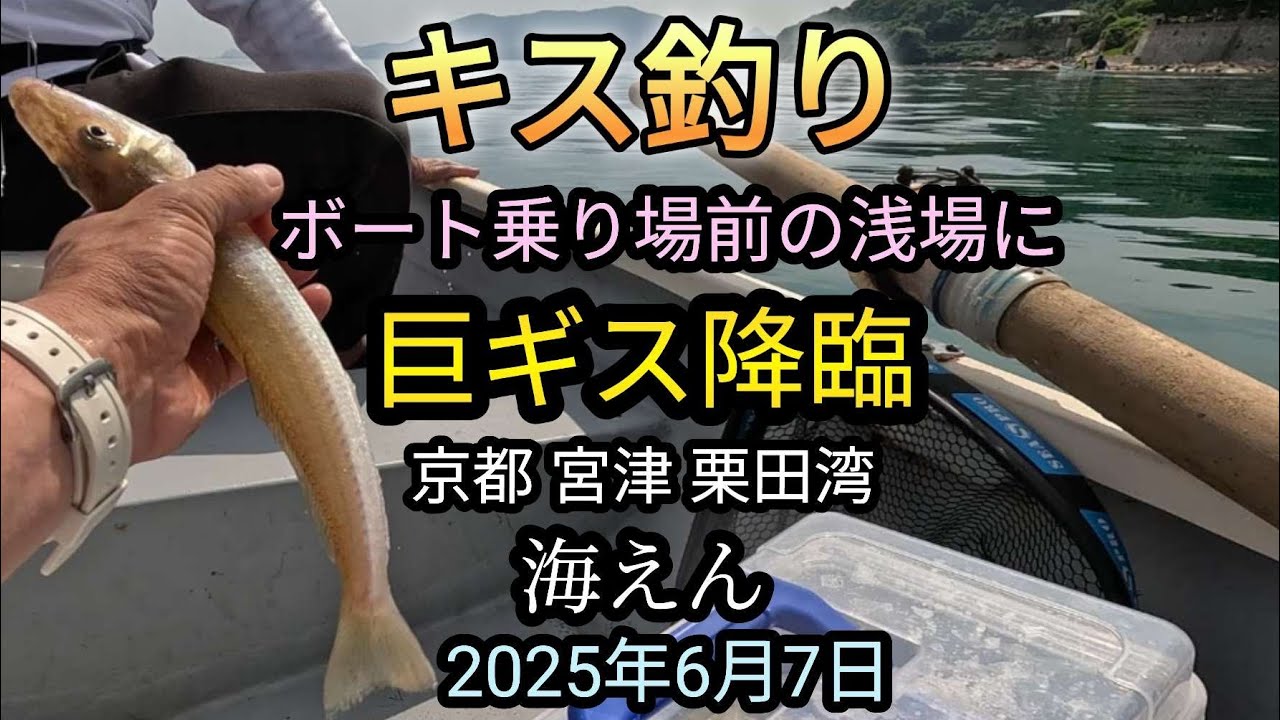 【キス釣り】浅場に巨ギス降臨！京都 宮津 栗田湾 レンタルボート『海えん』のボート乗り場前 2025年6月7日