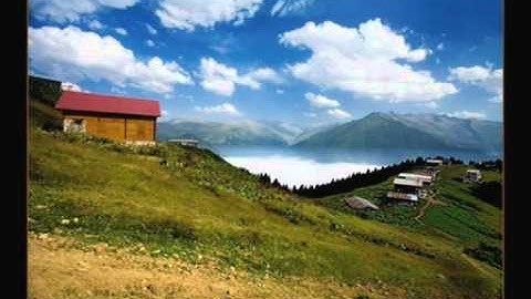 Thumbnail of - GÖKHAN BİRBEN BASMA YEŞİL ÇİMENE-KAVRUN.TR.GG -