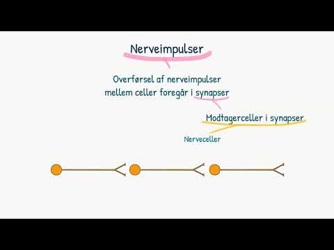 Video: Når reiser nerveimpulser?