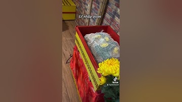 Lễ hoả táng và tiễn biệt thú cưng của gia đình