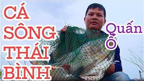 CÂU SÔNG TRƯỚC TRỞ TRỜI CÁ QUẤN Ổ NHỨC CẢ LÁCH TRÊN BÈ CÁ Ở BẮC NINH#câucásông#fishing 