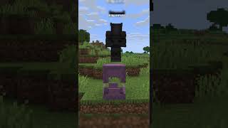 MINECRAFT HITBOX IS ACTUALLY BROKEN! #shorts