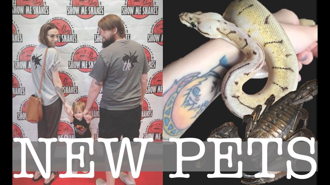 EXOTIC PET EXPO · Show Me Snakes 05/2018 - YouTube