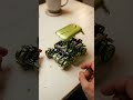 Mechanical Toy Car Transformation Mini Transformer Cars in Real Life