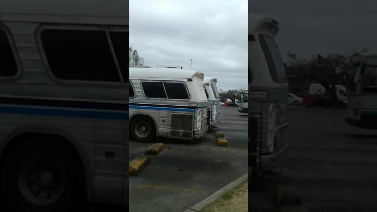 Omnibuses de ONDA(3)