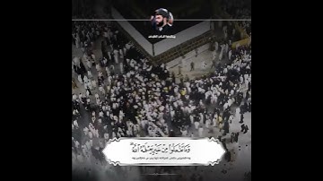 الحج اشهر معلومات سورة البقرة بیشةوا قادر الكردي