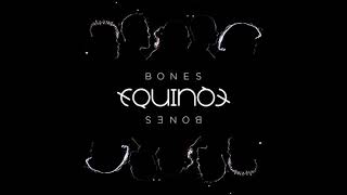 2018 Equinox - Bones