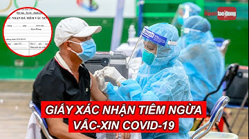 Làm sao để có giấy xác nhận tiêm ngừa vắc-xin Covid-19? | Báo Người Lao Động