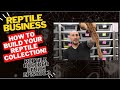 Turn your hobby into a business! Reptile Breeder Series Episode #3