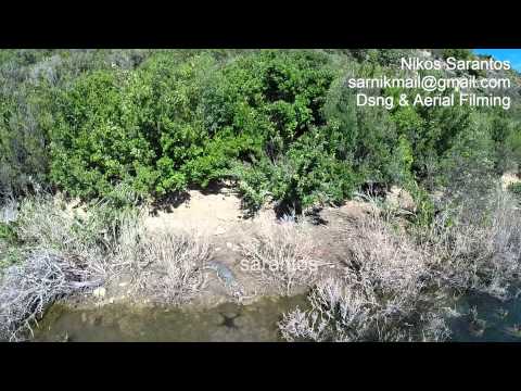 The crocodile of Rethymno by drone, NEW VIDEO!!!!!