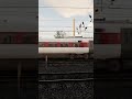 LNER Azuma headed for Kings X passing through a crossing in TSW 5: ECML #trainsimworld5 #tsw5 #ecml