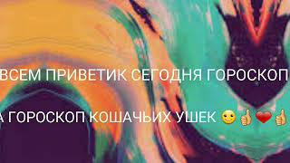 Гороскоп Топ самых красивых кошачьих ушек 😍😍👍👍❤❤ Гороскоп Топ самых красивых кошачьих ушек 😍😍👍👍❤❤