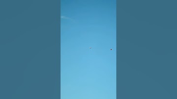 Watch this insane 80 yards shot flying across ! #duckhunting #waterfowl #hunting #canvasback #duck