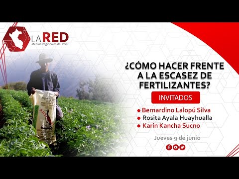 ¿Cómo hacer frente a la escasez de fertilizantes? | Red de Medios Regionales del Perú