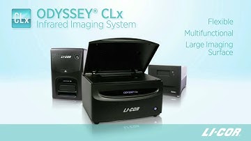 LI COR Odyssey Family of Imaging Systems   Choose Just the Right One for Your Lab!