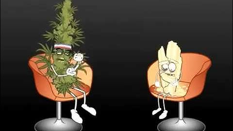 Marijuana VS  Crystal Meth - The master debaters