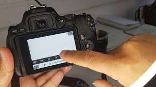 Canon 250d tutorial  - Manuel Setting - ISO, Aperture, Shutter