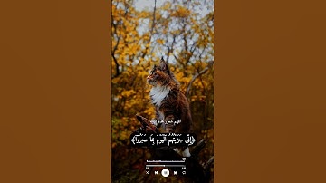 إسلام صبحي/راحة النفسيه أيات من سورة المؤمنون﴿111﴾أرح قلبك💦🍒❄️🌺