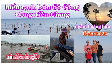 Biển rạch bùn Gò Công Đông, ngắm cảnh đẹp trải nghiệm đào nghêu thật tuyệt vời @mientayqueem6442