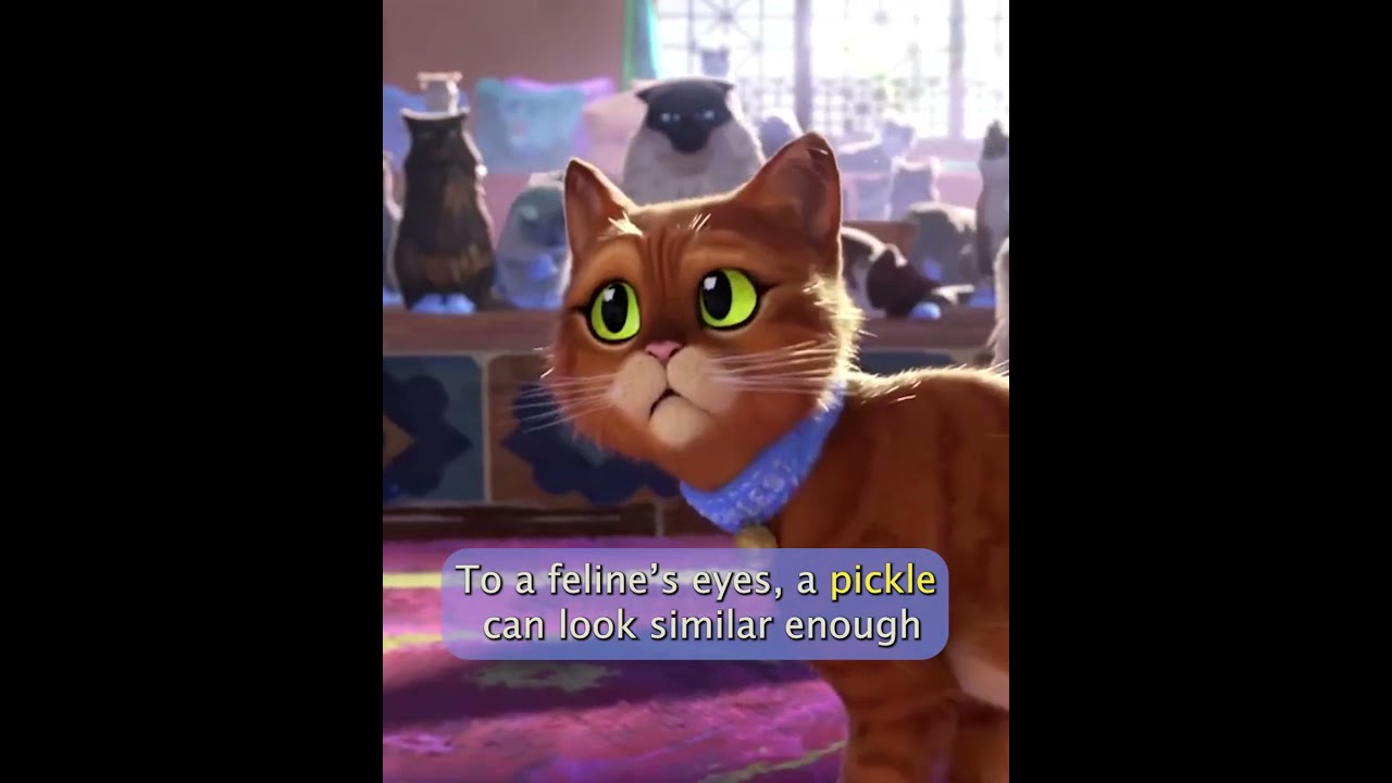 Why Puss Was Named Pickles In Puss In Boots The Last Wish YouTube Why Puss Was Named Pickles In Puss In Boots The Last Wish YouTube