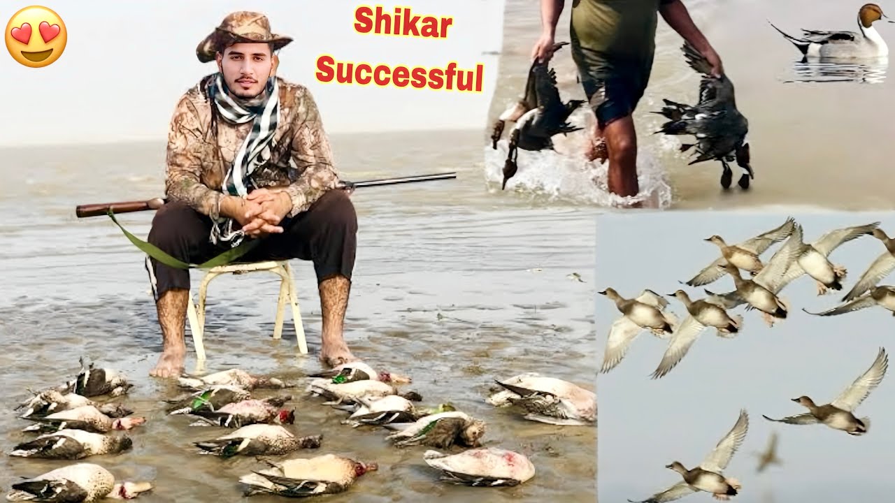Nayab Birds Shikar Successful😍 Day #2