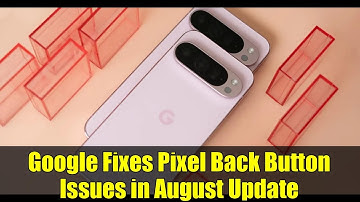 Google Fixes Pixel Back Button Issues in August Update