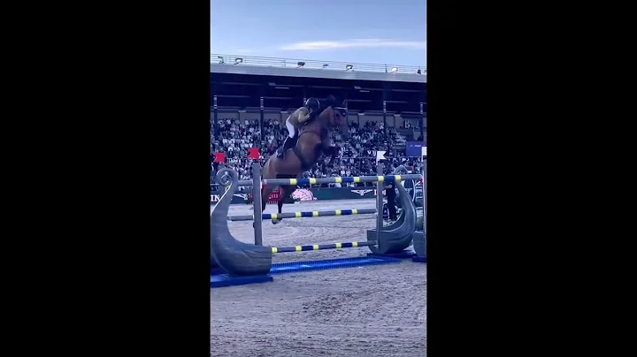 Show Jumping🤩♥️ #horses #shorts #showjumping #trending #horseriding #horsejumping