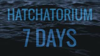 Hatchatorium - 7 Days (Blue Waves Video) #chill #originalmusic #alternativemusic #popmusic #altpop