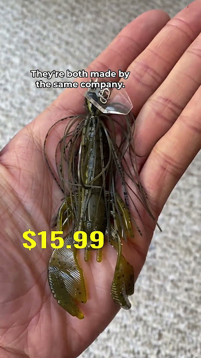 Fishing With Bass Pros Most Expensive Jig 