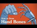 How to Draw Hand Bones - Drawing Anatomy for Artists