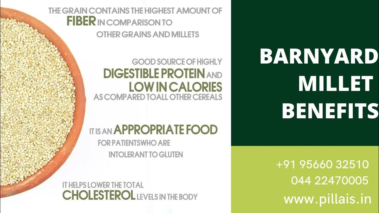 BARNYARD MLLET Siridhanya Millets Health Benefits of Barnyard Millet Barnyard Millet