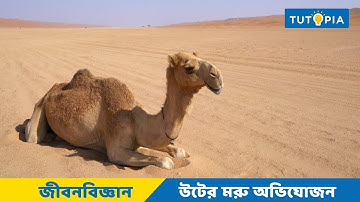 অভিব্যক্তি ও অভিযোজন - Evolution & Adaptation |  Class 1O Life Science | Tutopia