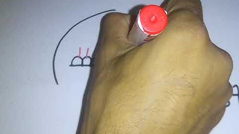 Equilibrium Dr Mohamed Fayez