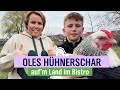 Oles hhnerschar  hhnermobil der extraklasse  folge 5  ndr aufm land