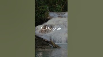 #غزة #فلسطين #قرآن #قران_كريم #قران #مصر #تراويح #سورة_البقرة #عمرو_طارق